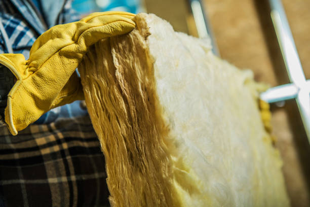 Best Insulation Installation Services in Forest Park, OH
