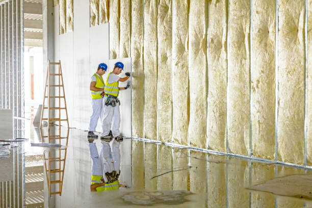 Best Residential Insulation in Forest Park, OH